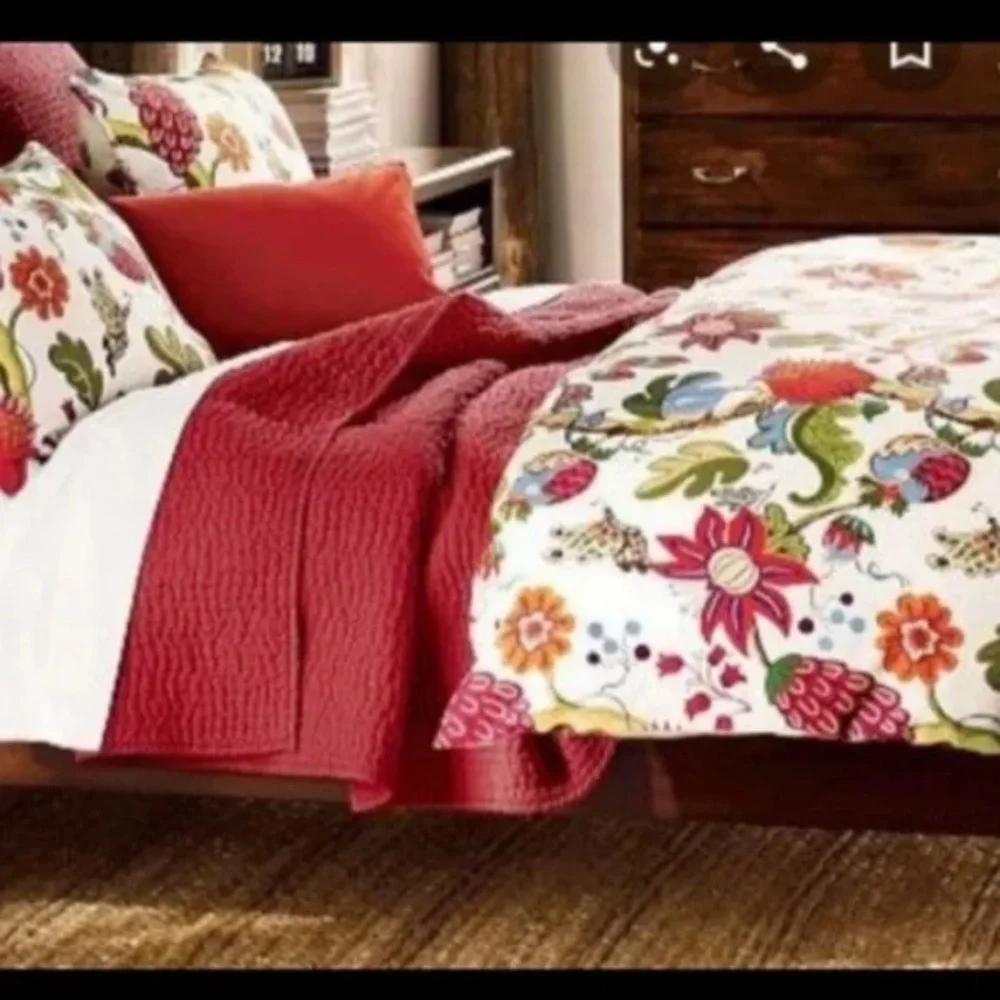 Pottery Barn Serafina Set of 2 Euro Shams